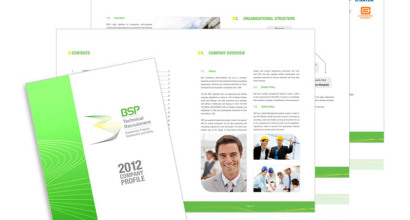 BSP Company Profile