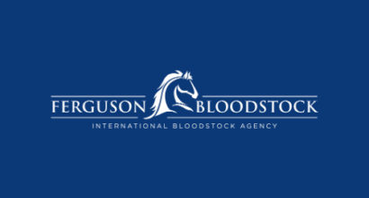 Horse Bloodstock Logo Design