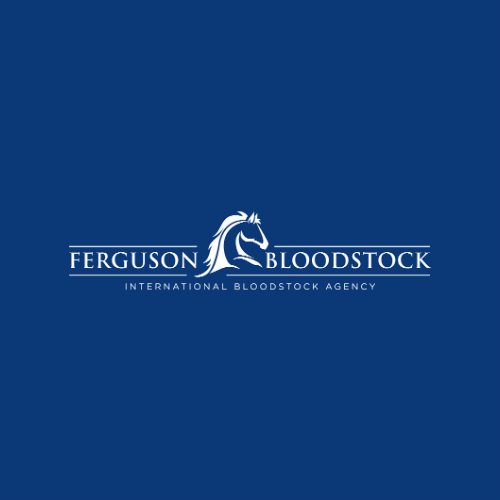 Horse Bloodstock Logo Design